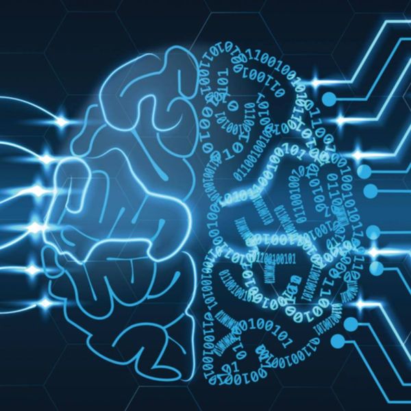 66f2a9f66e48d837f8d9568e3aa7d8b3 XL 8020c355