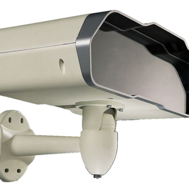 Sunvision Scientific – Iguana, γρήγορη και διορατική