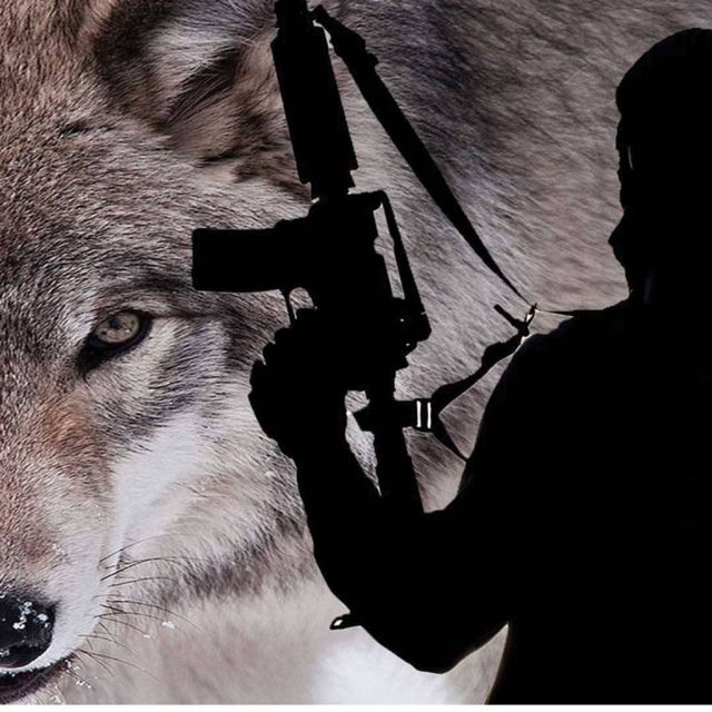 Έκθεση Europol TE-SAT 2016