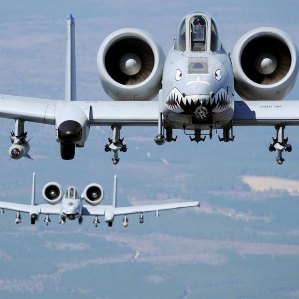 7a661f4578d6880820a03cd87a994a3c XL 87839814