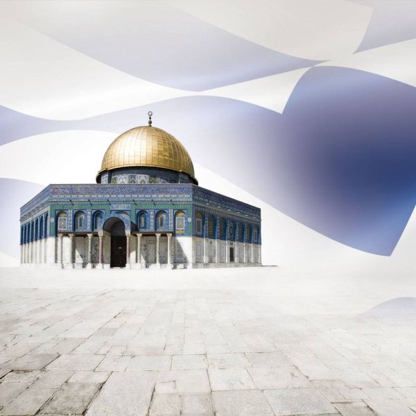 01d8b43f4f3fa760f12ff89aa5d9028b XL 884c3bd8