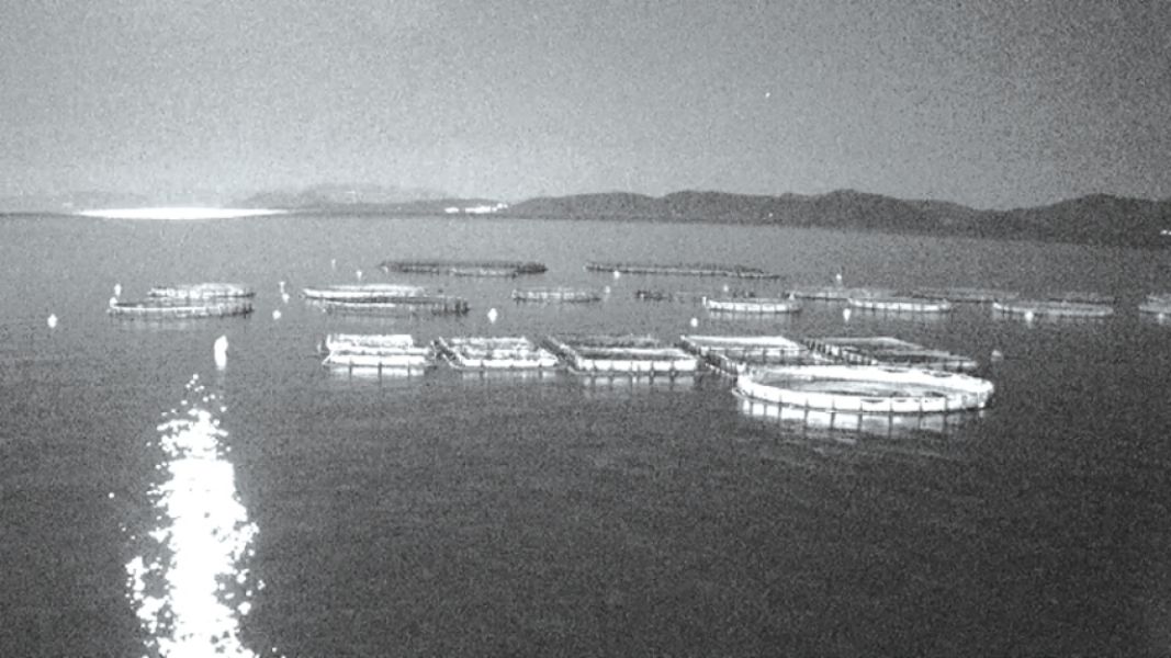 9911ecbea07a30e7c89fdadbe8a058e8 XL 88dc1d42