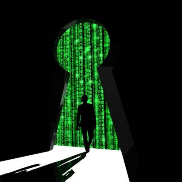 59569ed407b2eff4e84efc4585b4e017 XL 8a508a7d