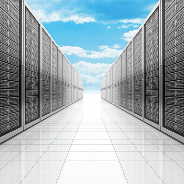 825c939ed3e8f5731bfe6f5becd14d5e XL 8ab49ca1