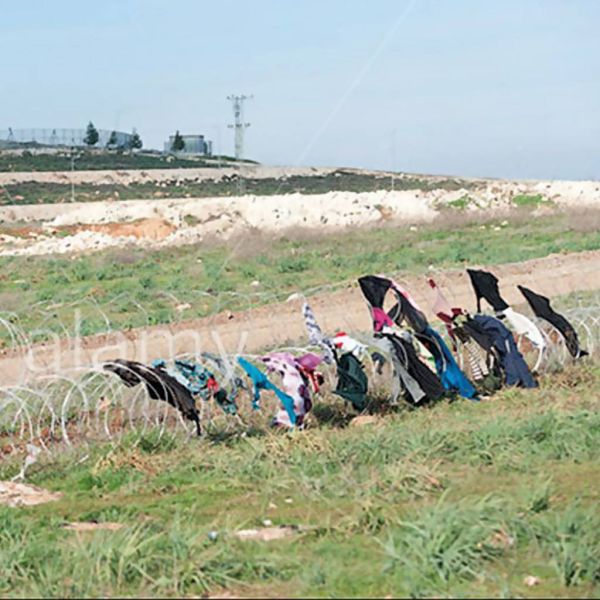 f62a17f794a03b17a2684f0886667d26 XL 8d8ef011