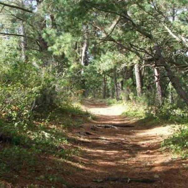 14c9d37d8e62e4f5291758b0164daabb XL 908105cc