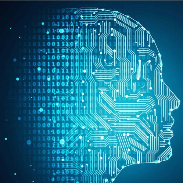 7e9a336b56a86763d2c858e016552361 XL 91c79cd8