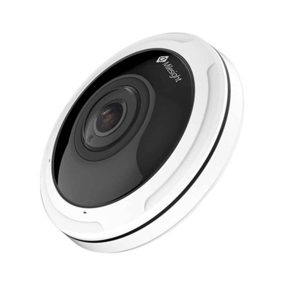 d6e07873164fb4b3622b53537a28d3fd XL 923a0f04