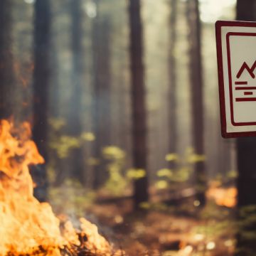 Forest Protect: Νέα εποχή στην πυροσπροστασία με την αξιοποίηση της τεχνολογίας AI