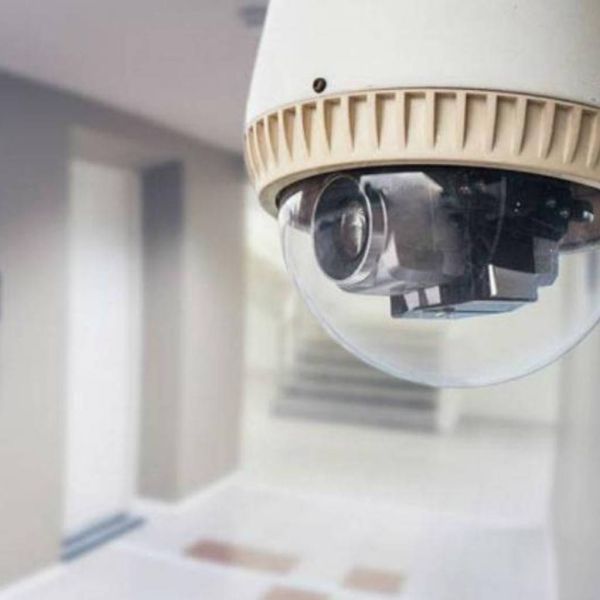 f3c194ded8b0b2d0d5b3145f8092cb53 XL 93d19f29