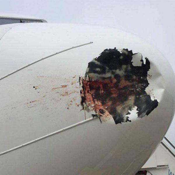 afb87fbd434b232df328a201b7afe670 XL 9683c954