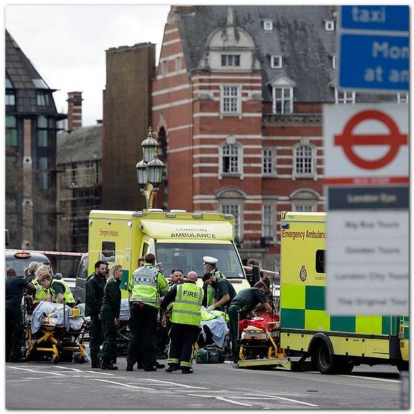 377731d40ea33c1c7cdc23e7ace5e053 XL 98b7c978