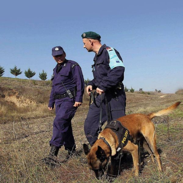 419462039e6c0e52c639a94a4db17847 XL 99065697