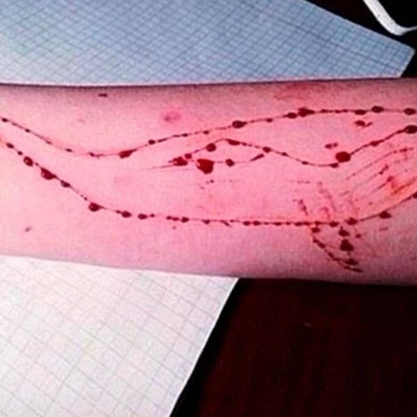 a8a60643bafa0307d300af23aba7c13b XL 9cf314f8