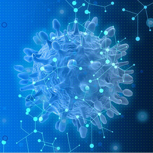 67d96059aeb37b90e2305ca443004d36 XL 9e6ac9f0