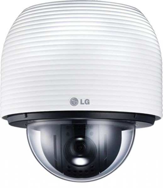 eeca348660096e711cd17c1f61fb2519 XL 9e53efa7