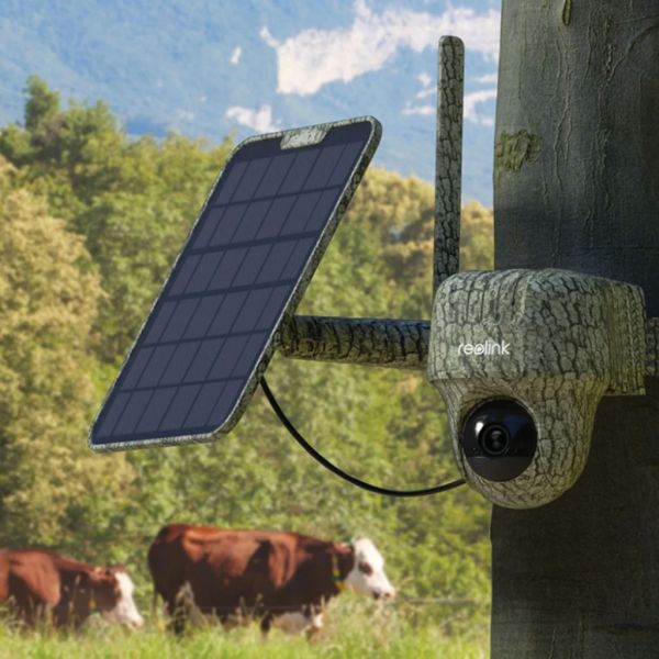 30.reolinlk a033ebd8