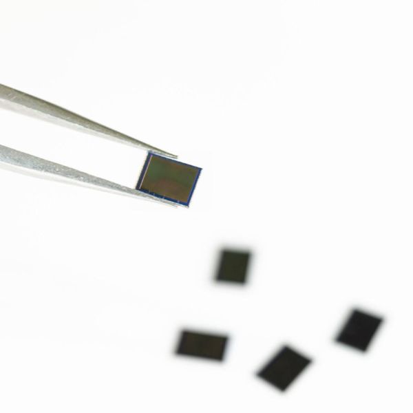 17fdc44be0493b7a7fb400a6056f2149 XL a2673dd9