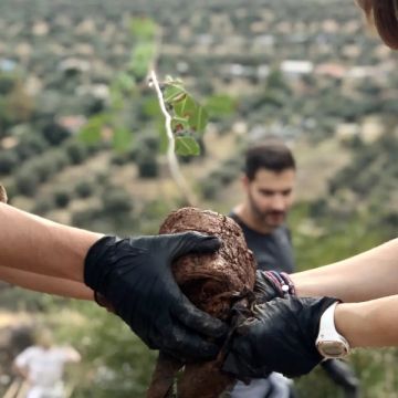 Σημαντική δράση για τον πλανήτη από την Bosch Ελλάδας