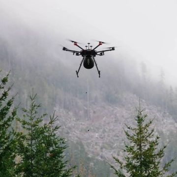 Αναδάσωση με drones: Startup θέλει να φυτεύει 40.000 δέντρα το μήνα