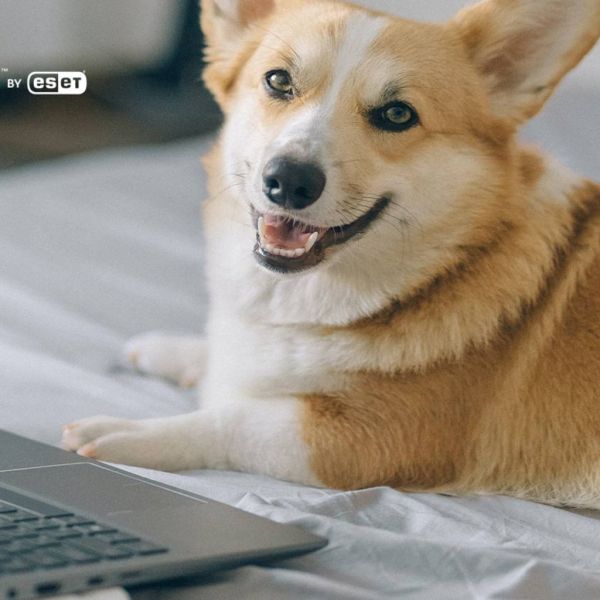 fd7b6ac2bb8245841596981c7cdc4a91 XL ab810da8