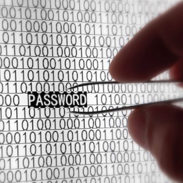 8fff24d59ce766ab65e090a401680032 XL ace11244