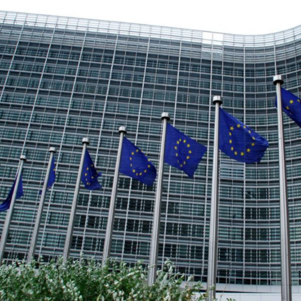 5287d60029615676bcf4267b7203b28d XL b10ba1b2