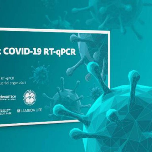 2cca73b478ba77860a33c6b6afc80bd2 XL b36f05e4