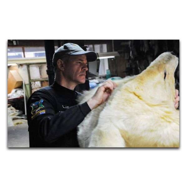 5419ef52eaa53110a32b804ed20b9866 XL b44f90f3