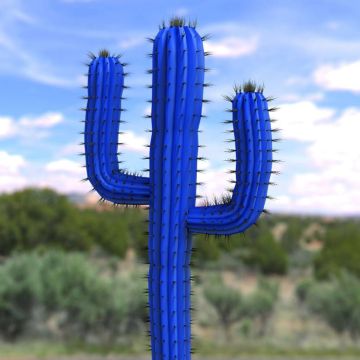 MOBOTIX «Cactus Concept»