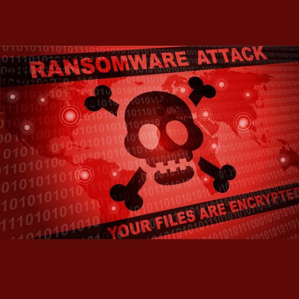 3f07d529ed8d45b0f095a158f04687ef XL b88aaa07