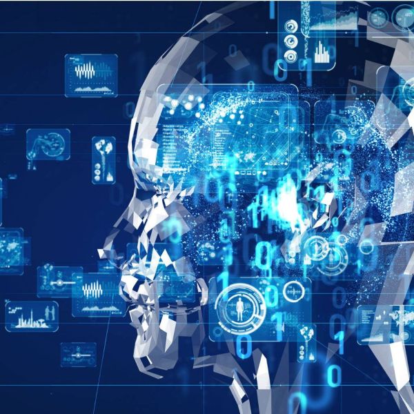 ab84220c936437782867ef7befb0e62e XL bb5e49fe