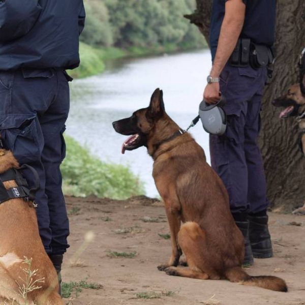 f8b9ec2867a1c86db07cf90ce8261b63 XL bb7ef41d