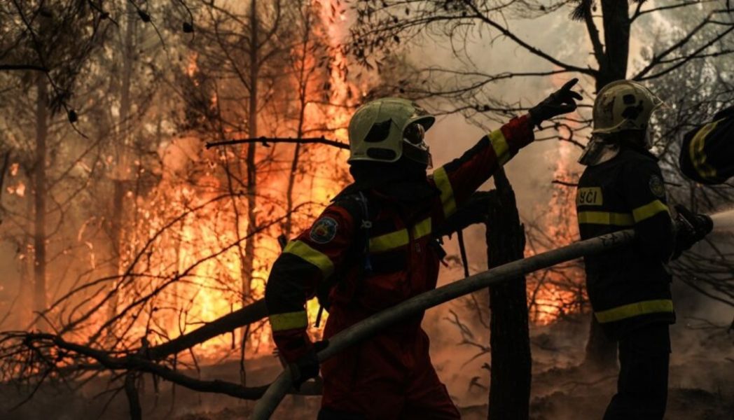 firefighter bb68c6e7