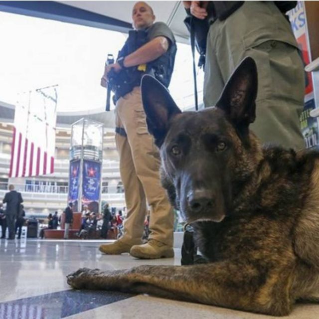 Πρόβλημα στους υπολογιστές δημιούργησε ουρές στα αεροδρόμια των ΗΠΑ
