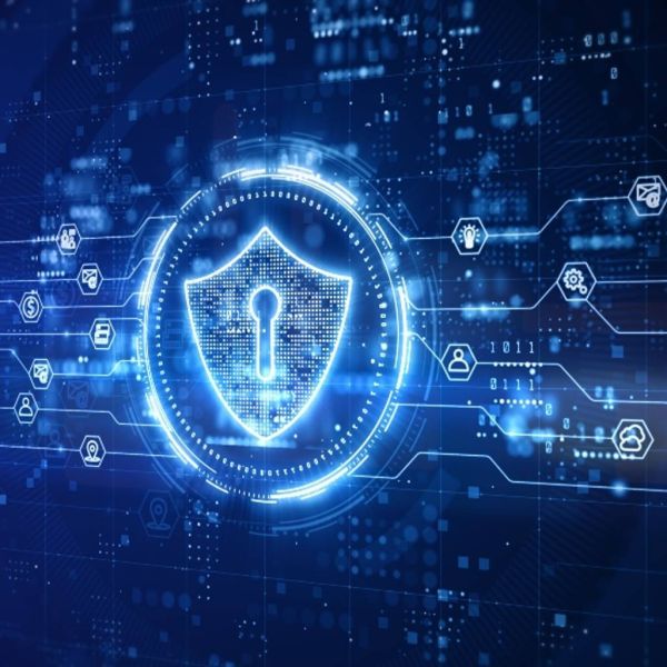 f372aacc3866a3362f608230439a519c XL bfa3bfe5