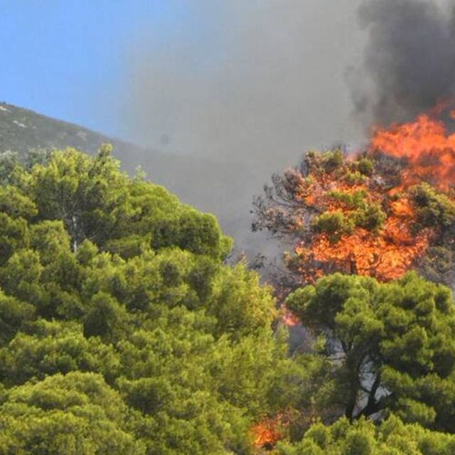 Σύστημα επιτήρησης και έγκαιρης προειδοποίησης πυρκαγιών