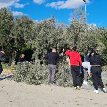 Οι εργαζόμενοι της Bosch μάζεψαν για καλό σκοπό ελιές από τα δέντρα της εταιρείας τους