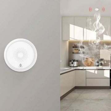 RoomBanker Smoke Detector