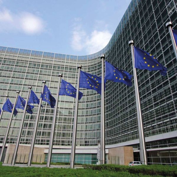 6c8bb439f78d2818cf0a18b679522b8a XL c7ac6881