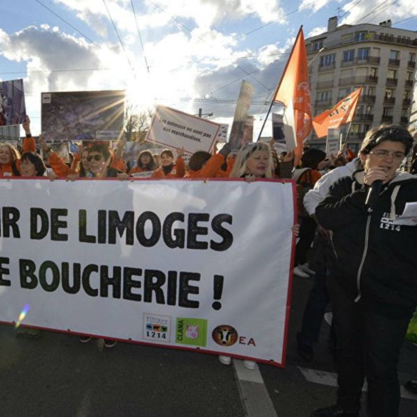 477f7c24fbeca0ac30bcb2183eae2221 XL c9a2524b