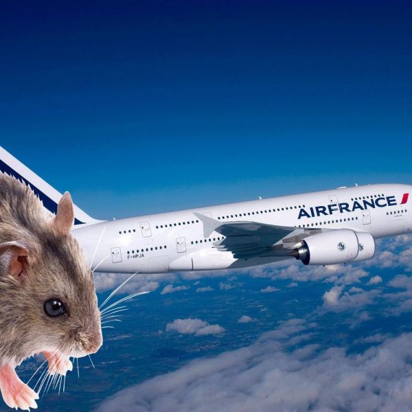 aa5a4d6dec12c1f4d7216f8d6bfcaef8 XL cb87b6cf