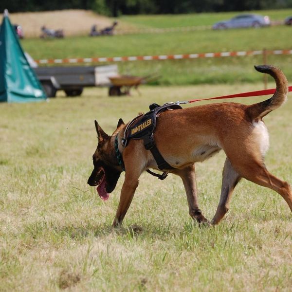 e6446adaf88305054ca19cc2d67eeba6 XL cb18081d