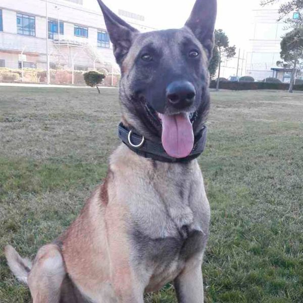 17aa9621283993fb4ead20e4a40f82cc XL ccbbadc9