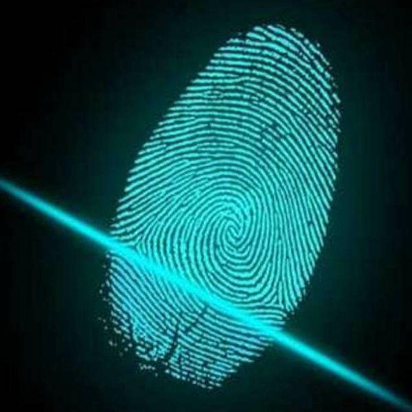 1d3d602bbe21ee1c2b2185f4a9baf300 XL cfaa576c