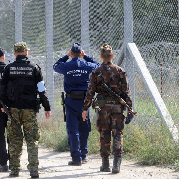 3300917a993c70dd1602b786d83c73ae XL cf2c604c