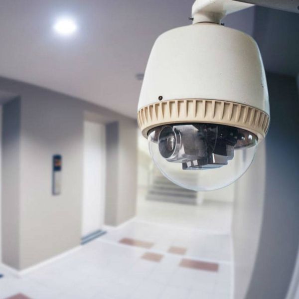 665f5d6be934d61068fc2727cefc7ef5 XL cf7cdb9e