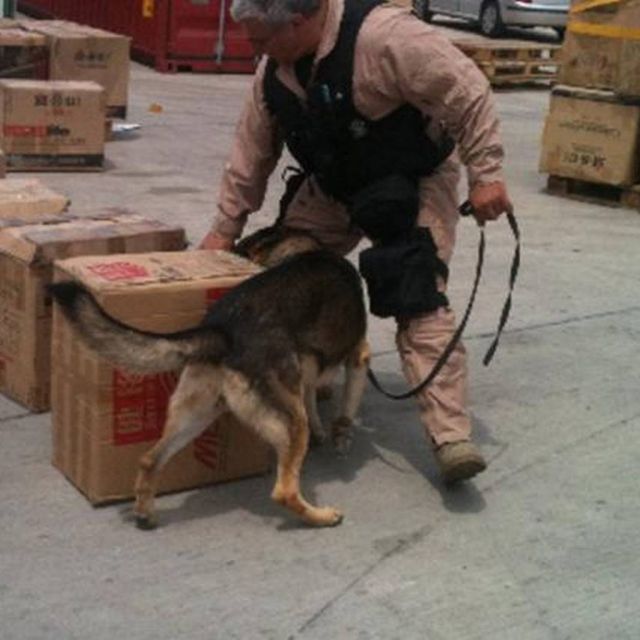 Ρεσάλτο ΣΔΟΕ σε πλοίο με φορτίο οπιούχα χάπια για το ISIS