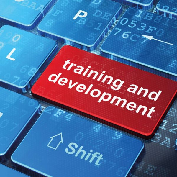 3ace6bf0e9f997c400b3dbdca66b498f XL d01555f8