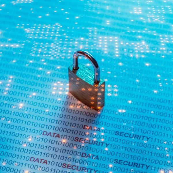 3c495e621d5cc82d9b077bd78285a7bd XL d0a79838